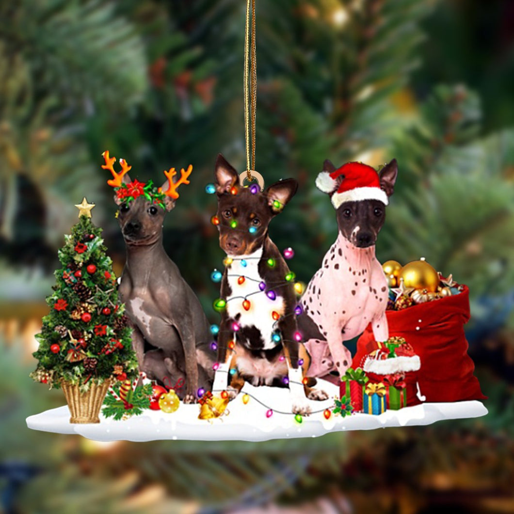 Ornament- American Hairless Terrier-Christmas Dog Friends Hanging Ornament, Christmas Ornament, Car Ornament