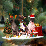Ornament- American Hairless Terrier-Christmas Dog Friends Hanging Ornament, Christmas Ornament, Car Ornament