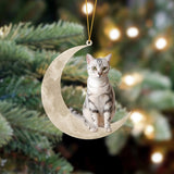 American Shorthair Cat Sits On The Moon Hanging Ornament Cat Christmas Acrylic Ornament