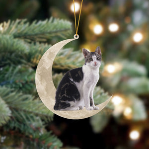 American Wirehair Cat Sits On The Moon Hanging Ornament Cat Christmas Acrylic Ornament