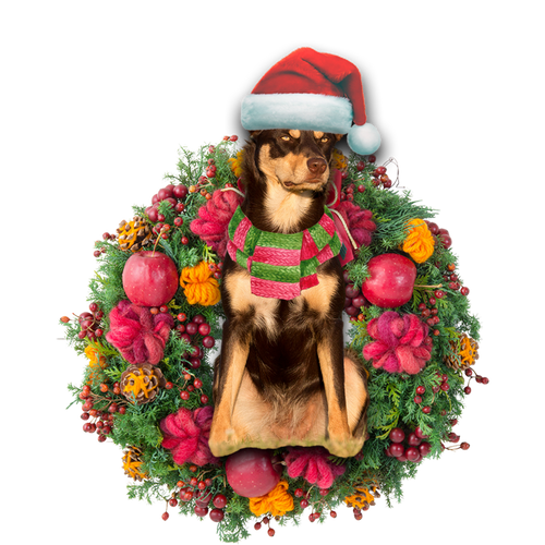 Godmerch- Ornament- Australian Kelpie Christmas Ornament, Happy Christmas Ornament, Car Ornament