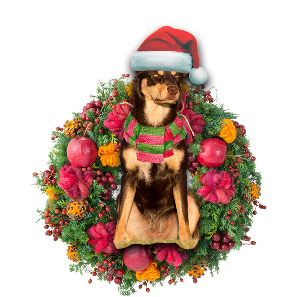 Godmerch- Ornament- Australian Kelpie Christmas Ornament, Happy Christmas Ornament, Car Ornament