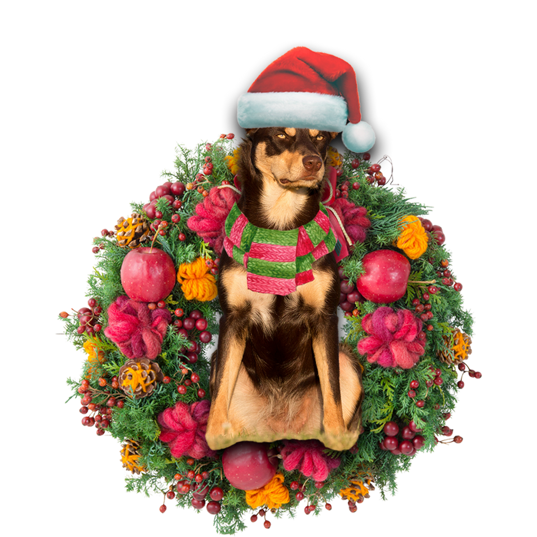 Godmerch- Ornament- Australian Kelpie Christmas Ornament, Happy Christmas Ornament, Car Ornament