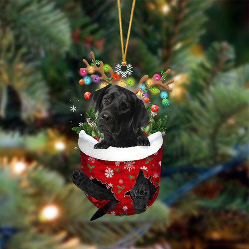 Ornament- BLACK Labrador-In Christmas Pocket Two Sides Ornament, Happy Christmas Ornament, Car Ornament
