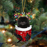 Ornament- BLACK Pomeranian-In Christmas Pocket Two Sides Ornament, Happy Christmas Ornament, Car Ornament