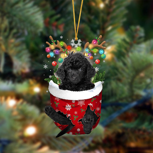 Ornament- BLACK Toy Poodle-In Christmas Pocket Two Sides Ornament, Happy Christmas Ornament, Car Ornament