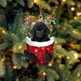BLACK Toy Poodle In Snow Pocket Christmas Ornament Godmerch