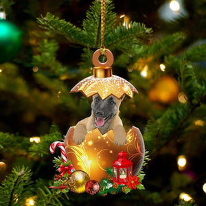 Belgian-Shepherd In Golden Egg Christmas Ornament