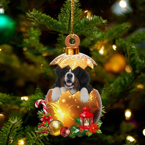 Bernese-Mountain In Golden Egg Christmas Ornament