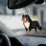 Bernese Mountain Dog-Look At Me-Two Sided Ornament