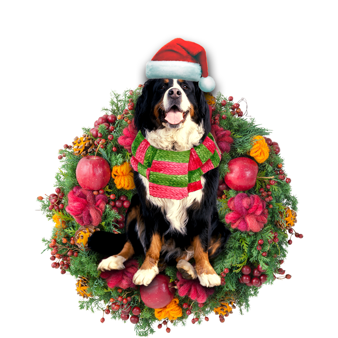 Godmerch- Ornament- Bernese Mountain Christmas Ornament, Happy Christmas Ornament, Car Ornament