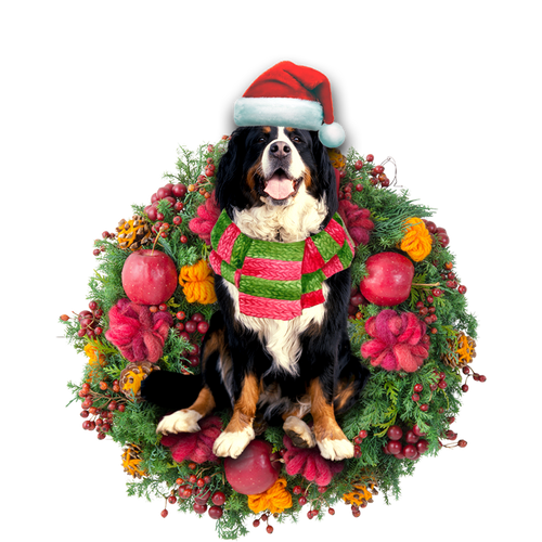 Godmerch- Ornament- Bernese Mountain Christmas Ornament, Happy Christmas Ornament, Car Ornament