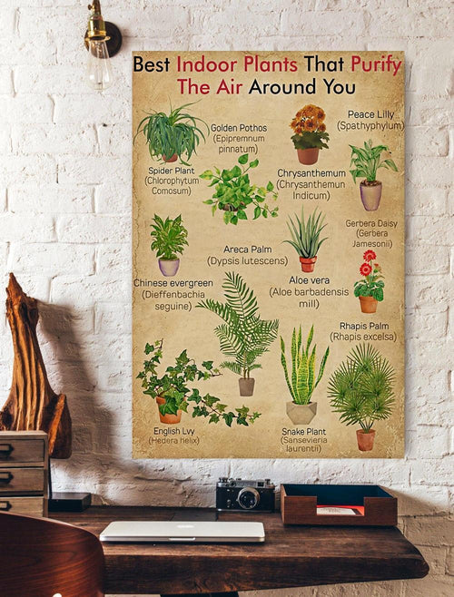 Best Indoor Plants Knowledge Canvas And Poster, Wall Decor Visual Art