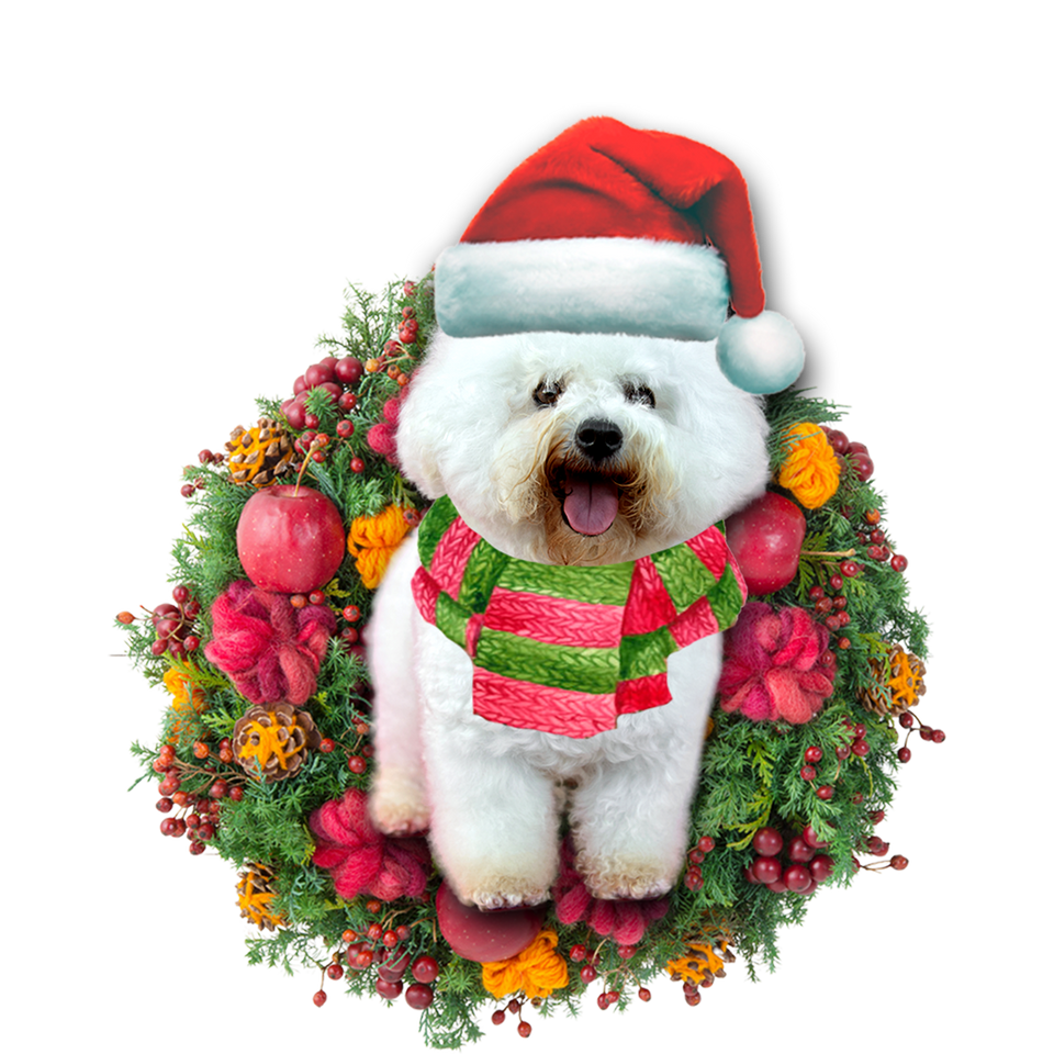 Godmerch- Ornament- Bichon Frise Christmas Ornament, Happy Christmas Ornament, Car Ornament