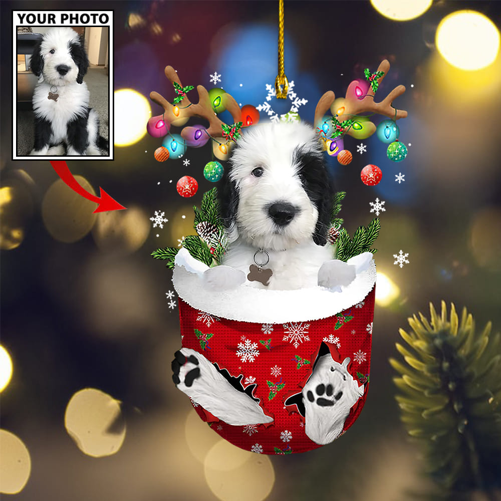 Personalized Gift For Pet Lovers Pet In Pocket Ornament