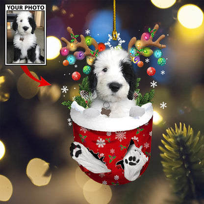 Personalized Gift For Pet Lovers Pet In Pocket Ornament