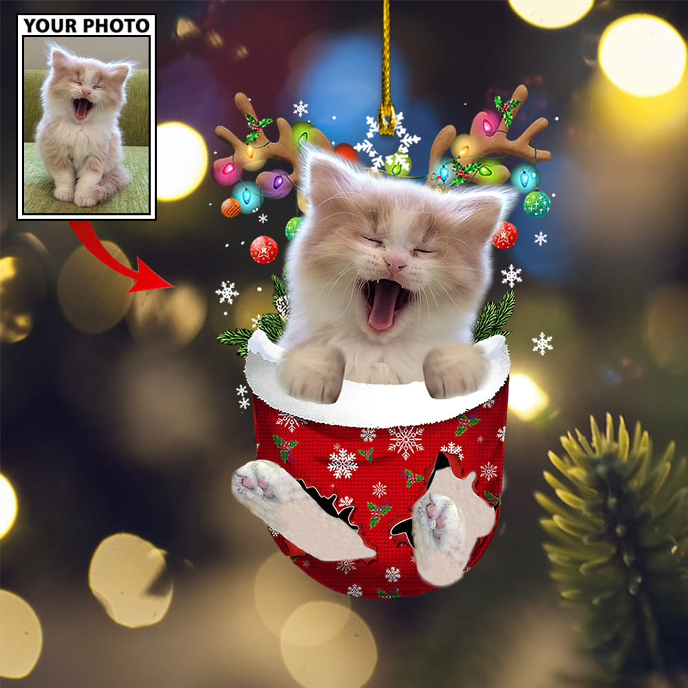 Personalized Gift For Pet Lovers Pet In Pocket Ornament