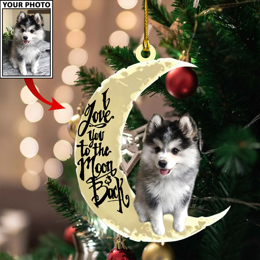 Personalized Gift For Pet Lovers Pet Sitting In The Moon Ornament
