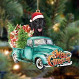 Bla Labrador2-Green Truck Hanging Ornament