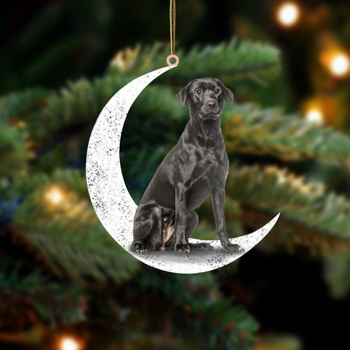 Black Labrador 2 Sit On The Moon Two Sided Ornament Dog Hanging Christmas Ornament