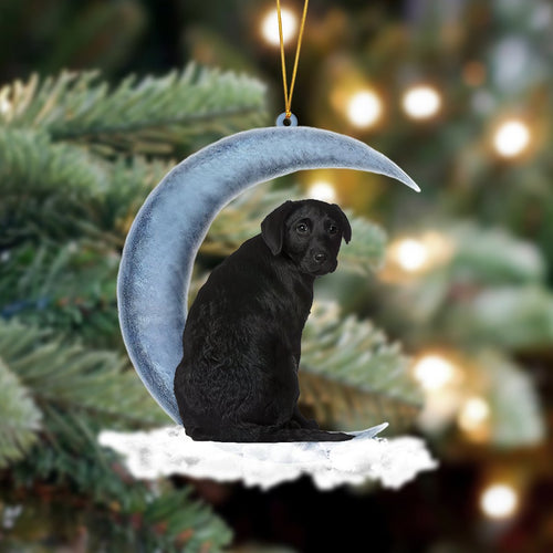 Godmerch- Black Labrador Retriever Sits On The Moon Hanging Ornament Dog Ornament, Car Ornament, Christmas Ornament