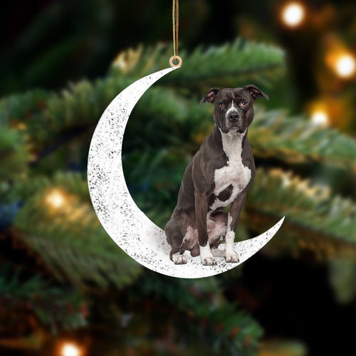 Black And White Pitbull Sit On The Moon Two Sided Ornament Dog Hanging Christmas Ornament