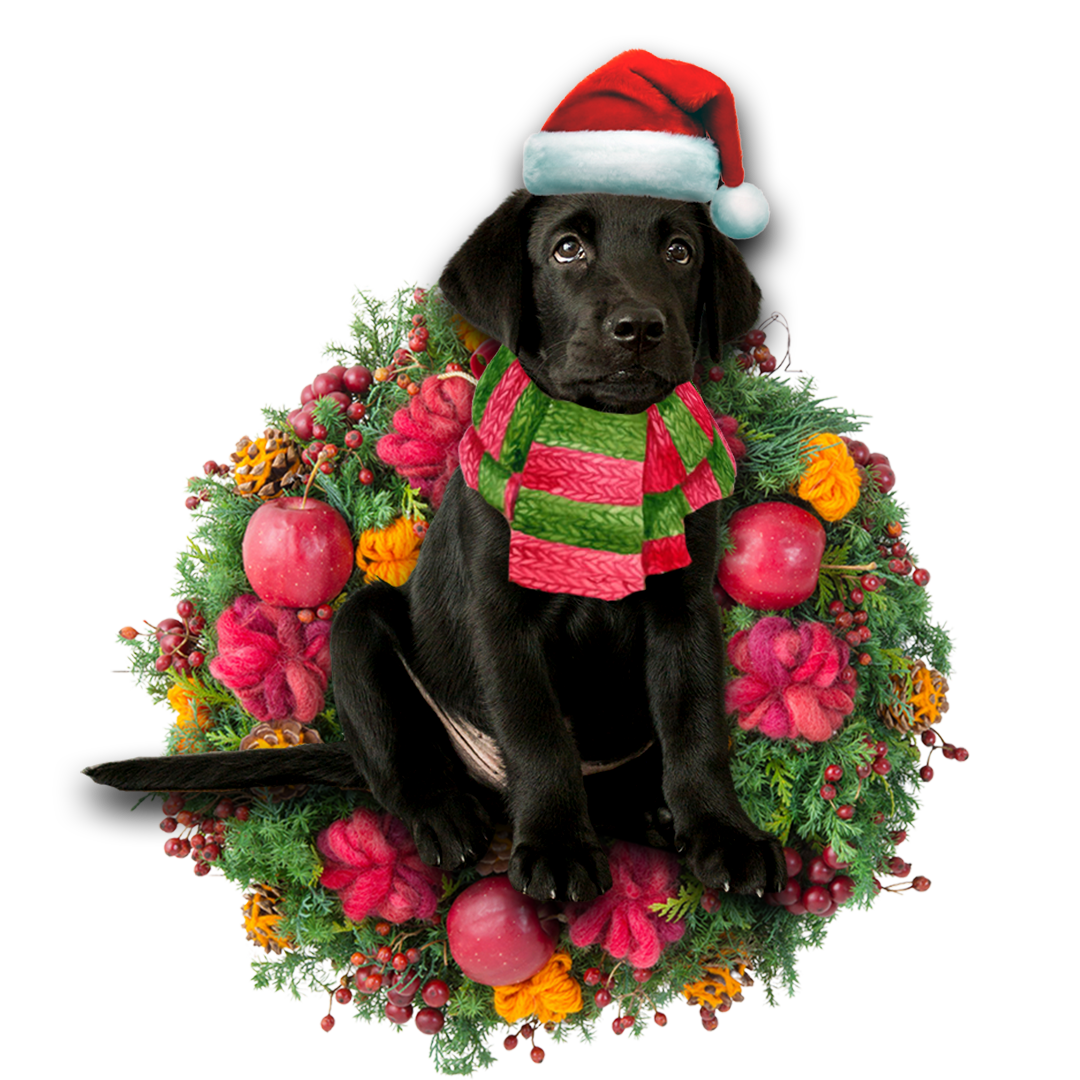 Godmerch- Ornament- Black Labrador Retriever Christmas Ornament, Happy Christmas Ornament, Car Ornament