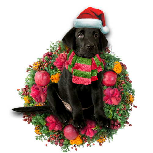 Godmerch- Ornament- Black Labrador Retriever Christmas Ornament, Happy Christmas Ornament, Car Ornament