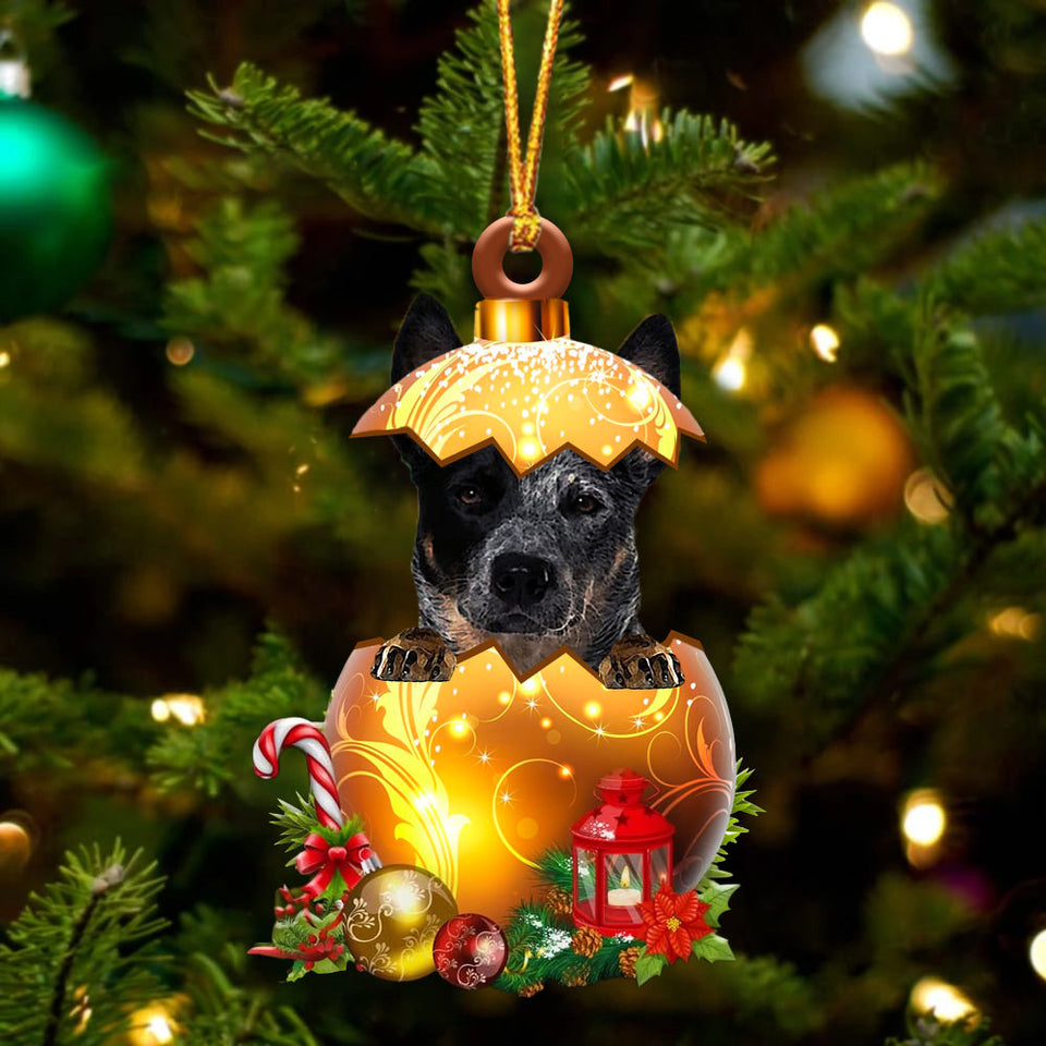 Blue Heeler In Golden Egg Christmas Ornament