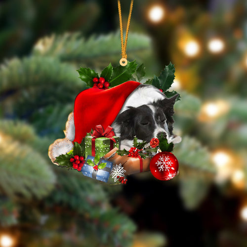 Border Collie-Sleeping In Hat Two Sides Ornament Dog Sleeping Ornament