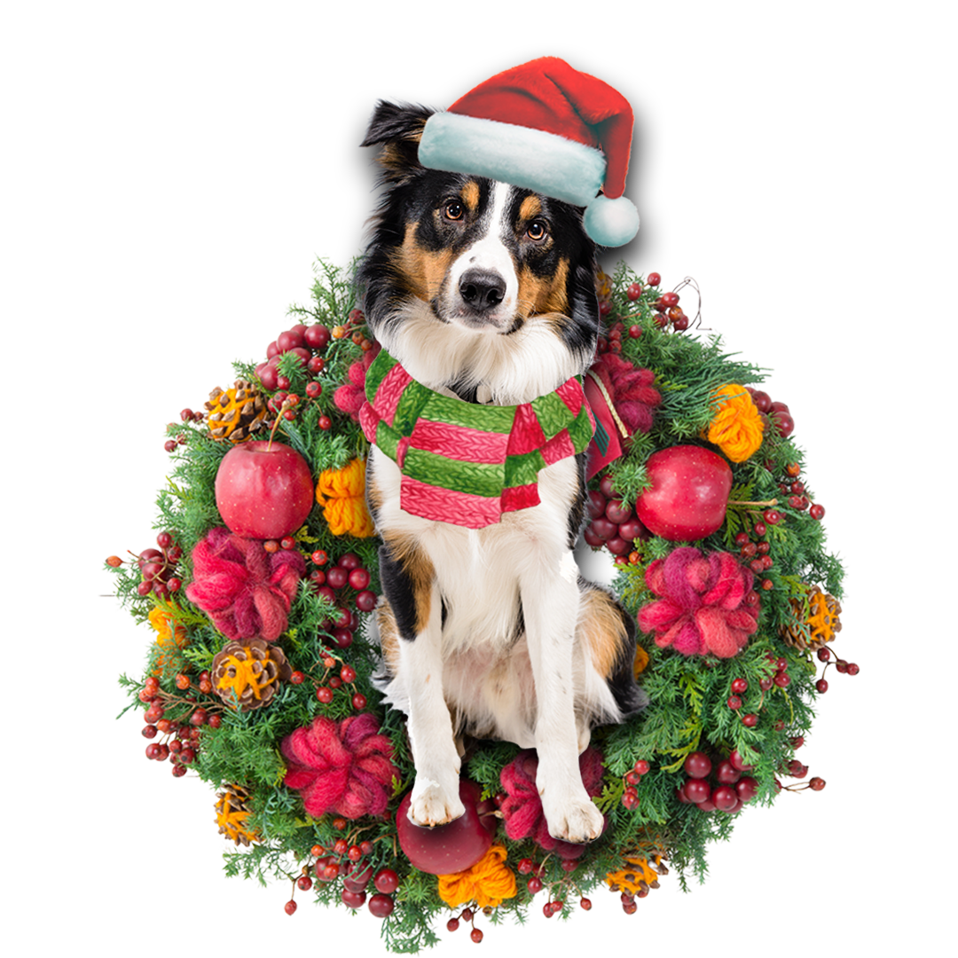 Godmerch- Ornament- Border Collie Christmas Ornament, Happy Christmas Ornament, Car Ornament