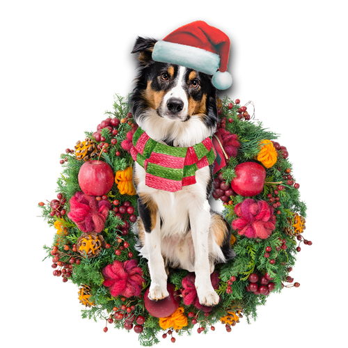 Godmerch- Ornament- Border Collie Christmas Ornament, Happy Christmas Ornament, Car Ornament