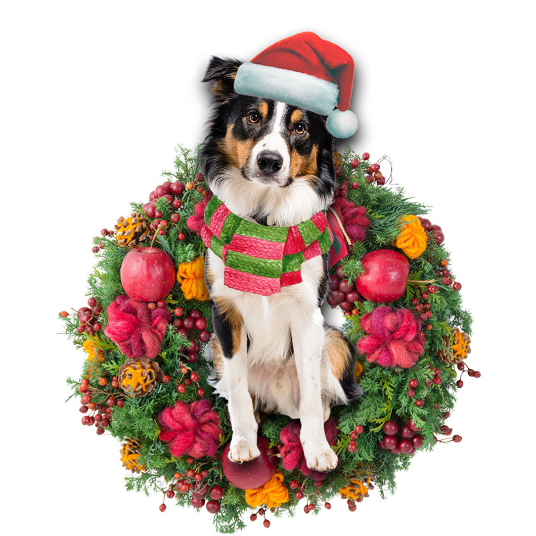 Godmerch- Ornament- Border Collie Christmas Ornament, Happy Christmas Ornament, Car Ornament