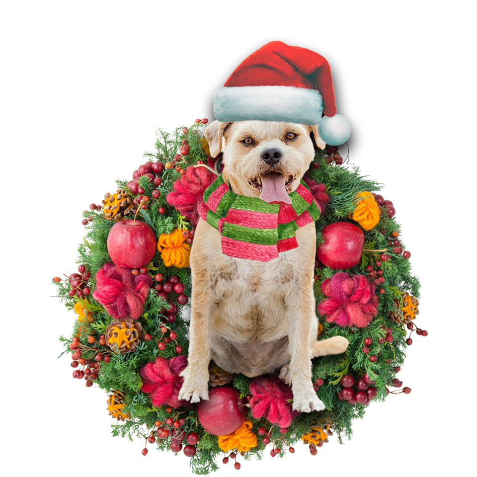 Godmerch- Ornament- Border Terrier Christmas Ornament, Happy Christmas Ornament, Car Ornament