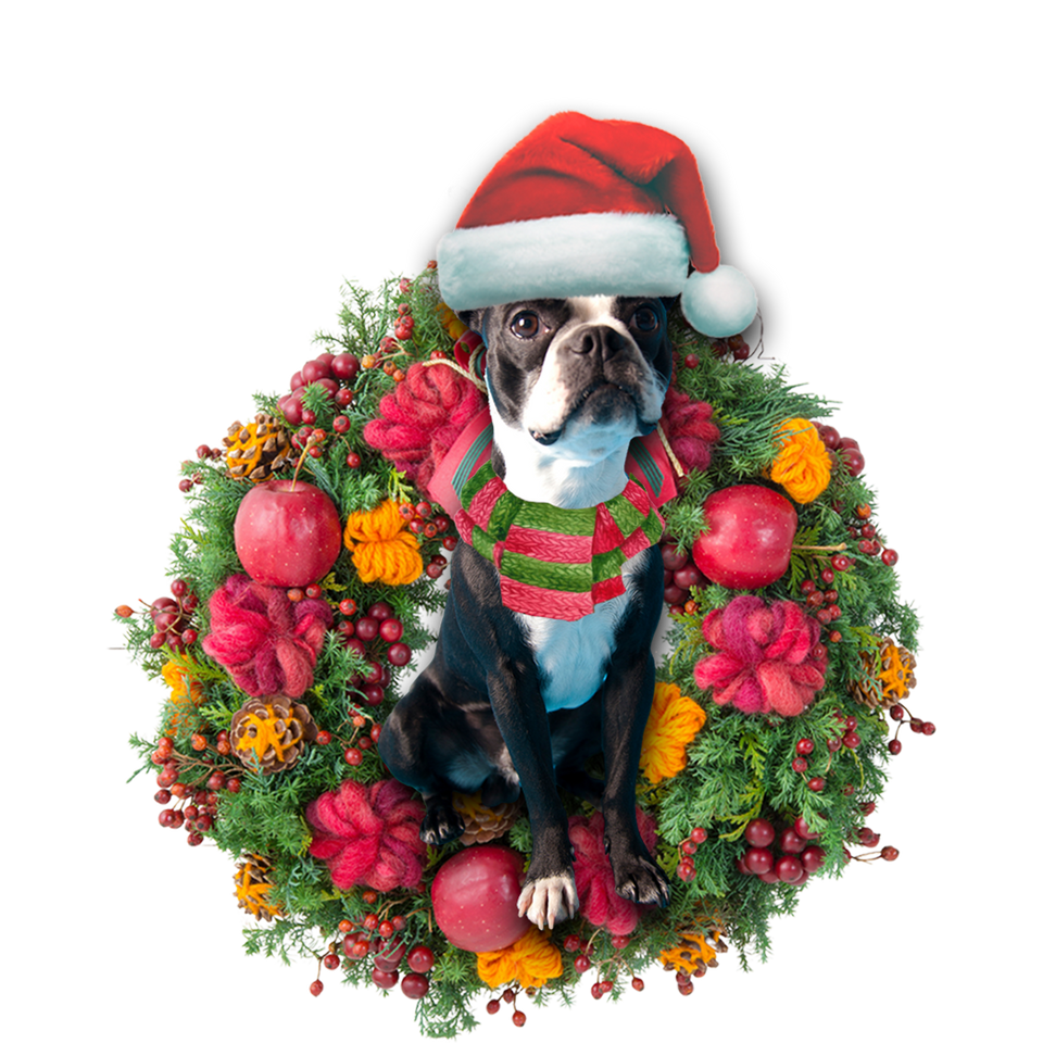 Godmerch- Ornament- Boston Terrier Christmas Ornament, Happy Christmas Ornament, Car Ornament