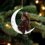 Boykin Spaniel Sit On The Moon Two Sided Ornament Dog Hanging Christmas Ornament