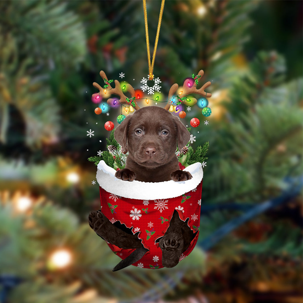 Ornament- CHOCOLATE Labrador-In Christmas Pocket Two Sides Ornament, Happy Christmas Ornament, Car Ornament