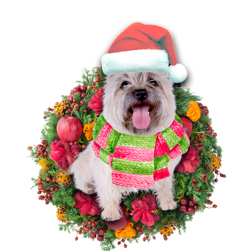Godmerch- Ornament- Cairn Terrier Christmas Ornament, Happy Christmas Ornament, Car Ornament