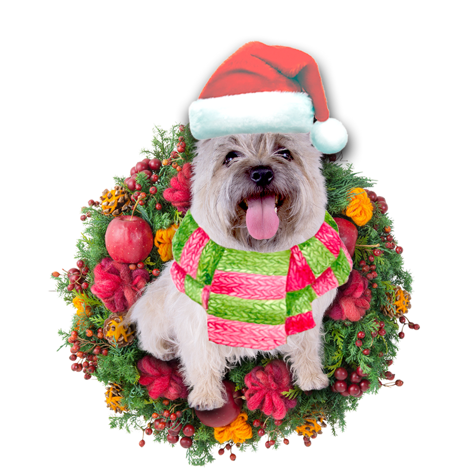 Godmerch- Ornament- Cairn Terrier Christmas Ornament, Happy Christmas Ornament, Car Ornament