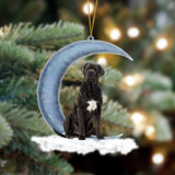Godmerch- Ornament- Cane Corso Sits On The Moon Hanging Ornament Dog Ornament, Car Ornament, Christmas Ornament