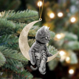 Cat Sits On The Moon Hanging Ornament, Animal Christmas Ornaments