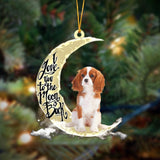 Cavalier King Charles Spaniel I Love You To The Moon And Back Hanging Ornament, Car Ornament, Christmas Ornament