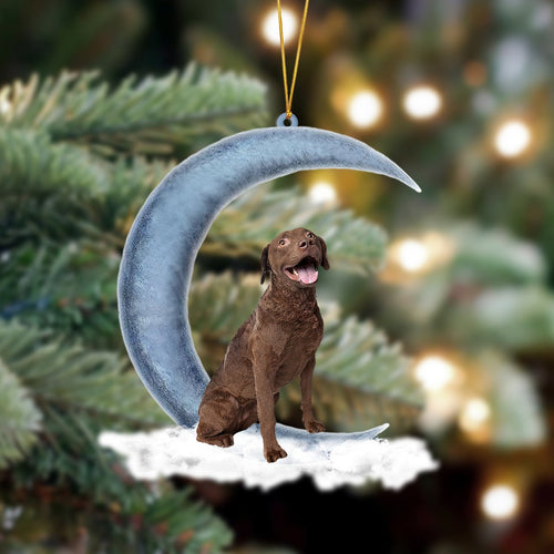 Godmerch- Chesapeake Bay Retriever Sits On The Moon Hanging Ornament Dog Ornament, Car Ornament, Christmas Ornament