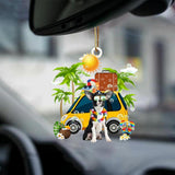 Chihuahua-Nice Summer-Two Sided Ornament