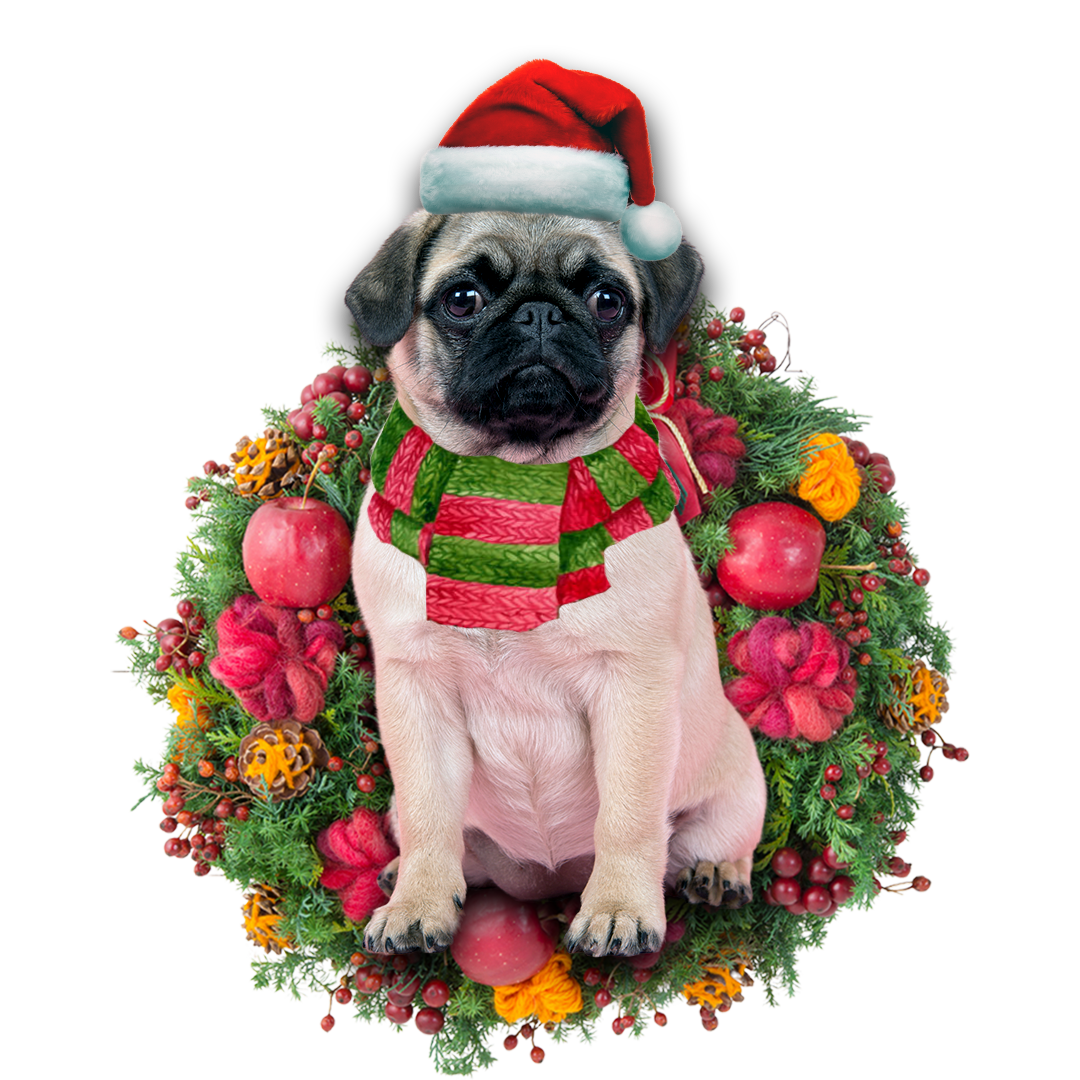 Godmerch- Ornament- Chihuahua Pug Christmas Ornament, Happy Christmas Ornament, Car Ornament