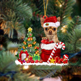 Godmerch- Ornament- Chihuahua Gift Bag Merry Christmas Ornament Dog Ornament, Car Ornament, Christmas Ornament