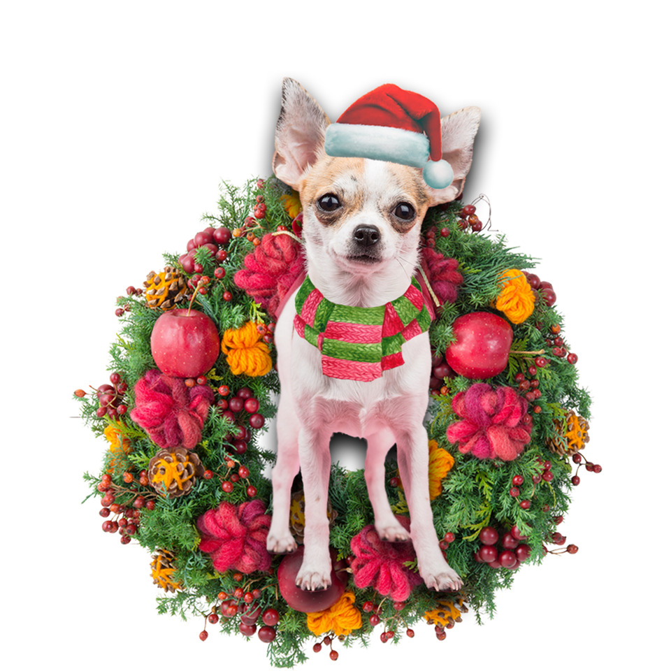 Godmerch- Ornament- Chihuahua Christmas Ornament, Happy Christmas Ornament, Car Ornament