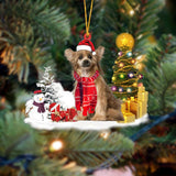 Chinese Crested Christmas Ornament Christmas Tree Hanging Acrylic Ornament Gift