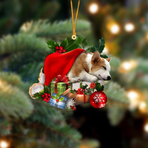 Corgi-Sleeping In Hat Two Sides Ornament Dog Sleeping Ornament