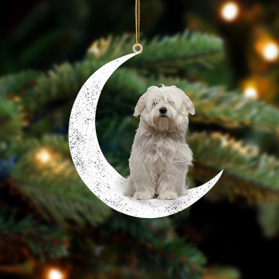 Coton De Tulear Sit On The Moon Two Sided Ornament Dog Hanging Christmas Ornament